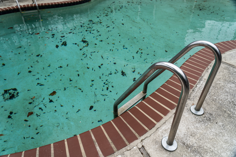 5 Signs Your Pool Needs Professional Service ASAP